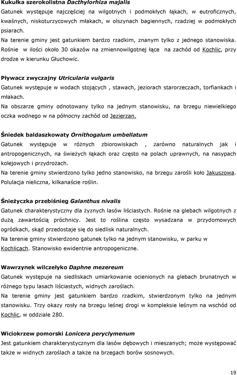 Rośnie w ilości około 30 okazów na zmiennowilgotnej łące na zachód od Kochlic, przy drodze w kierunku Głuchowic.