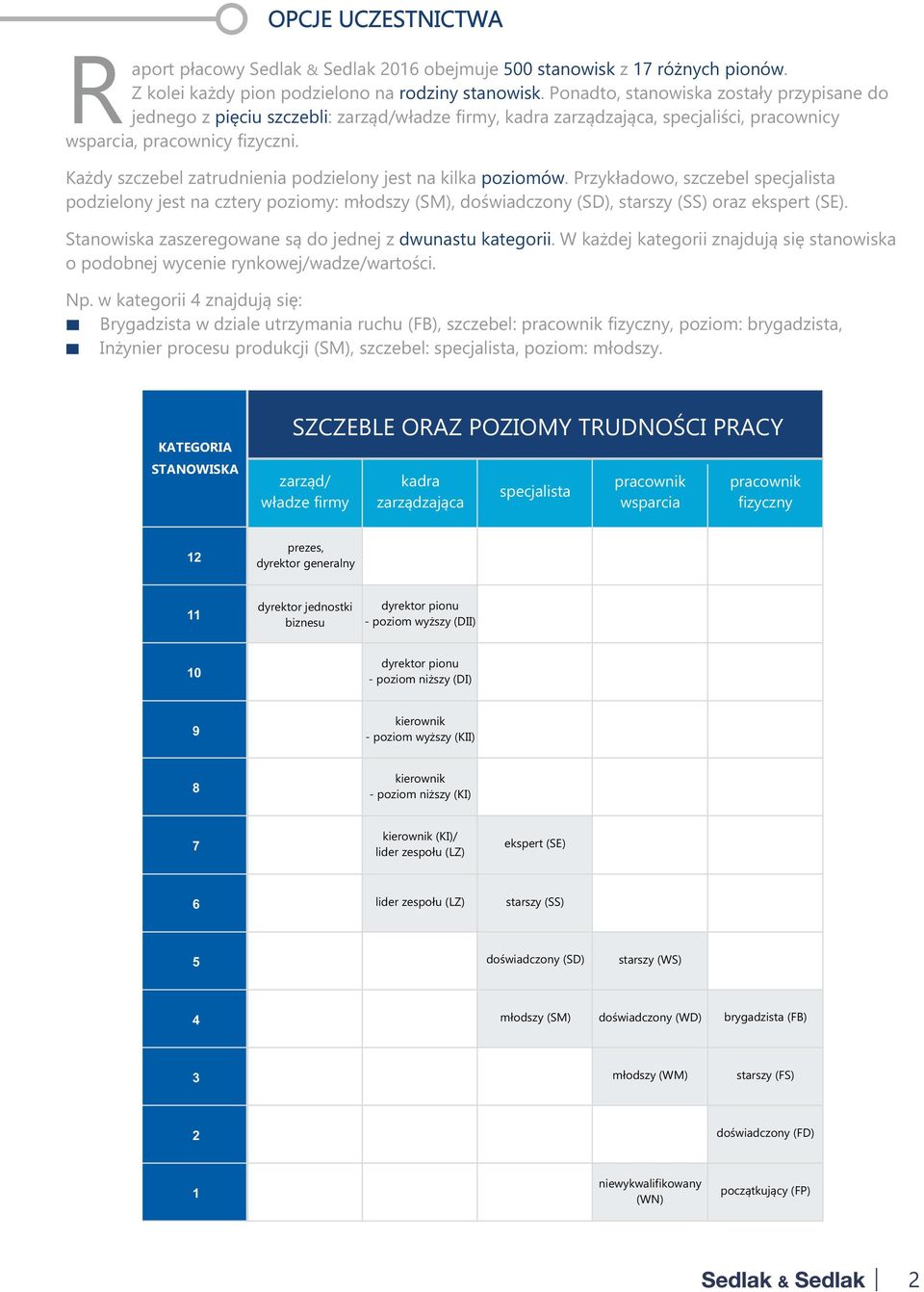 Każdy szczebel zatrudnienia podzielony jest na kilka poziomów. Przykładowo, szczebel specjalista podzielony jest na cztery poziomy: młodszy (SM), doświadczony (SD), starszy (SS) oraz ekspert (SE).