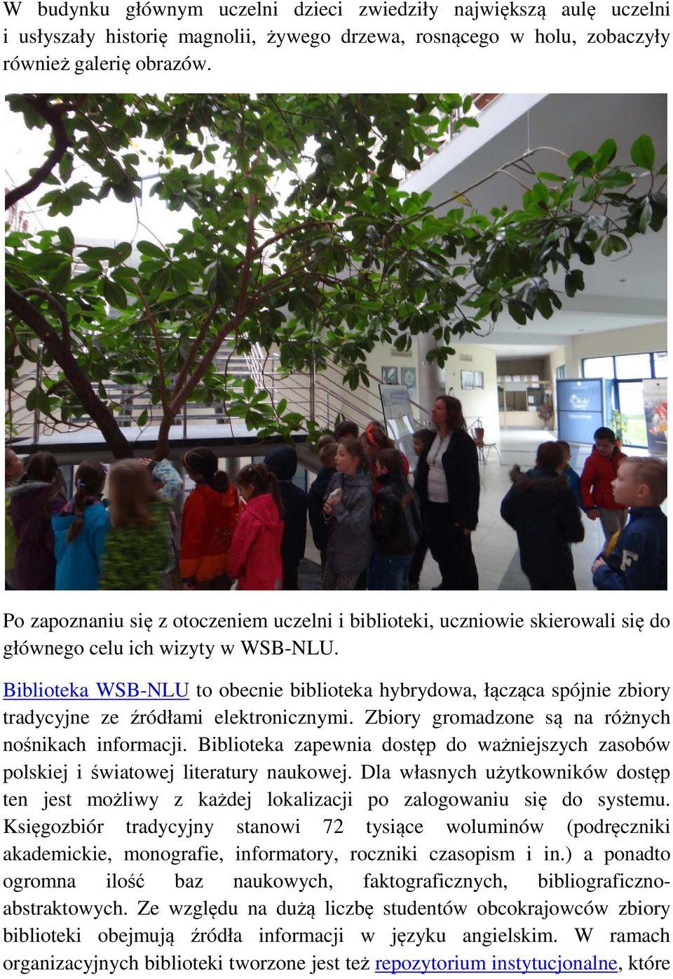 Biblioteka WSB-NLU to obecnie biblioteka hybrydowa, łącząca spójnie zbiory tradycyjne ze źródłami elektronicznymi. Zbiory gromadzone są na różnych nośnikach informacji.