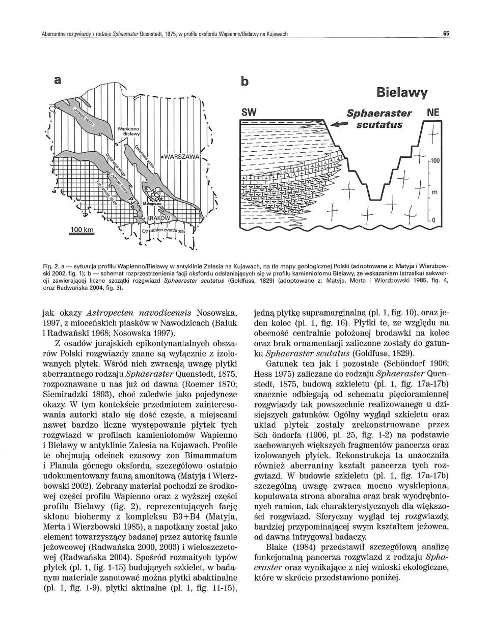 a - sytuacja profilu Wapienno/Bielawy w antyklinie Zalesia na Kujawach, na tle mapy geologicznej Polski (adoptowane z: Matyja i Wierzbowski 2002, fig.