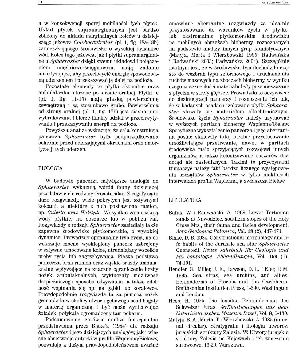 Kolce tego jeżowca, jak i płytki supramarginalne u Sphaeraster dzięki swemu układowi i połącze niom mlęsnlowo-sclęgnowym, mają zadanie amortyzujące, aby przechwycić energię spowodowaną uderzeniem i