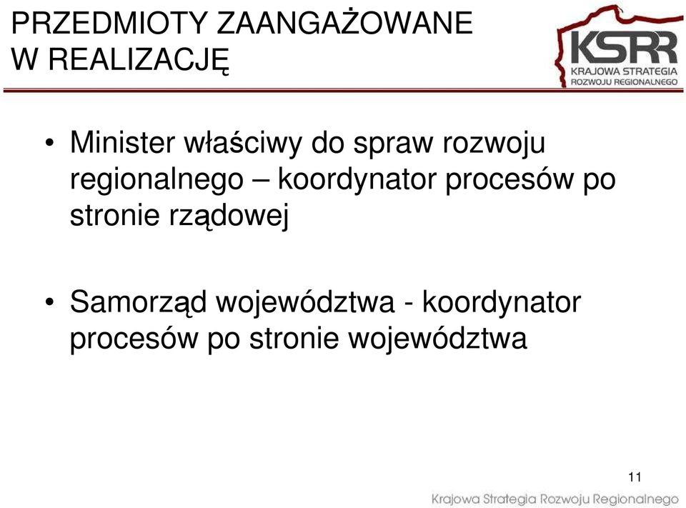 koordynator procesów po stronie rządowej