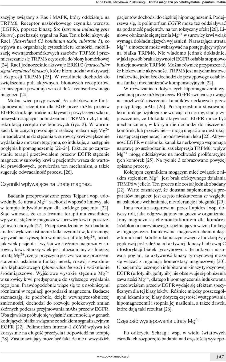 Ten z kolei aktywuje Rac1 (Ras-related C3 botulinum toxin, substrate 1), co wpływa na organizację cytoszkieletu komórki, mobilizację wewnątrzkomórkowych zasobów TRPM6 i przemieszczanie się TRPM6 z