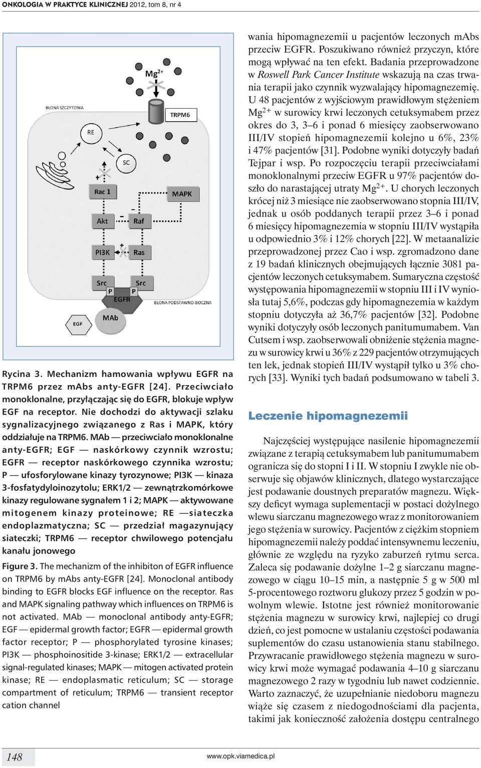 MAb przeciwciało monoklonalne anty-egfr; EGF naskórkowy czynnik wzrostu; EGFR receptor naskórkowego czynnika wzrostu; P ufosforylowane kinazy tyrozynowe; PI3K kinaza 3-fosfatydyloinozytolu; ERK1/2