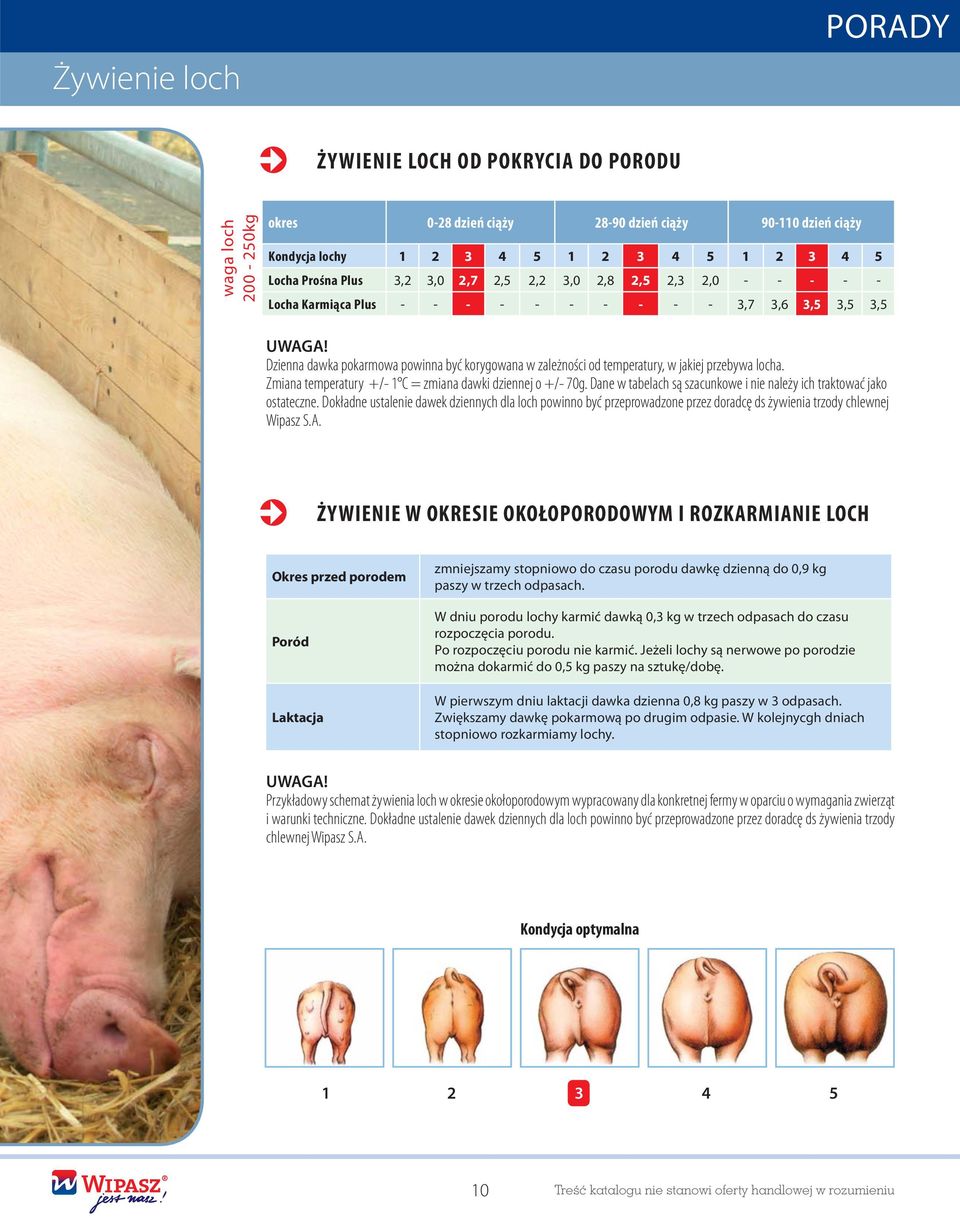 Dzienna dawka pokarmowa powinna być korygowana w zależności od temperatury, w jakiej przebywa locha. Zmiana temperatury +/- 1 C = zmiana dawki dziennej o +/- 70g.