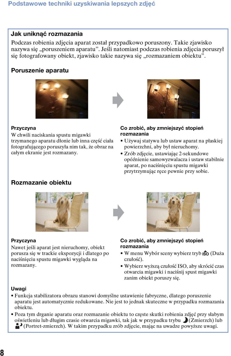 Poruszenie aparatu Przyczyna W chwili naciskania spustu migawki trzymanego aparatu dłonie lub inna część ciała fotografującego poruszyła nim tak, że obraz na całym ekranie jest rozmazany.
