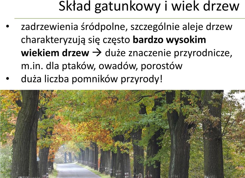 wysokim wiekiem drzew duże znaczenie przyrodnicze, m.in.