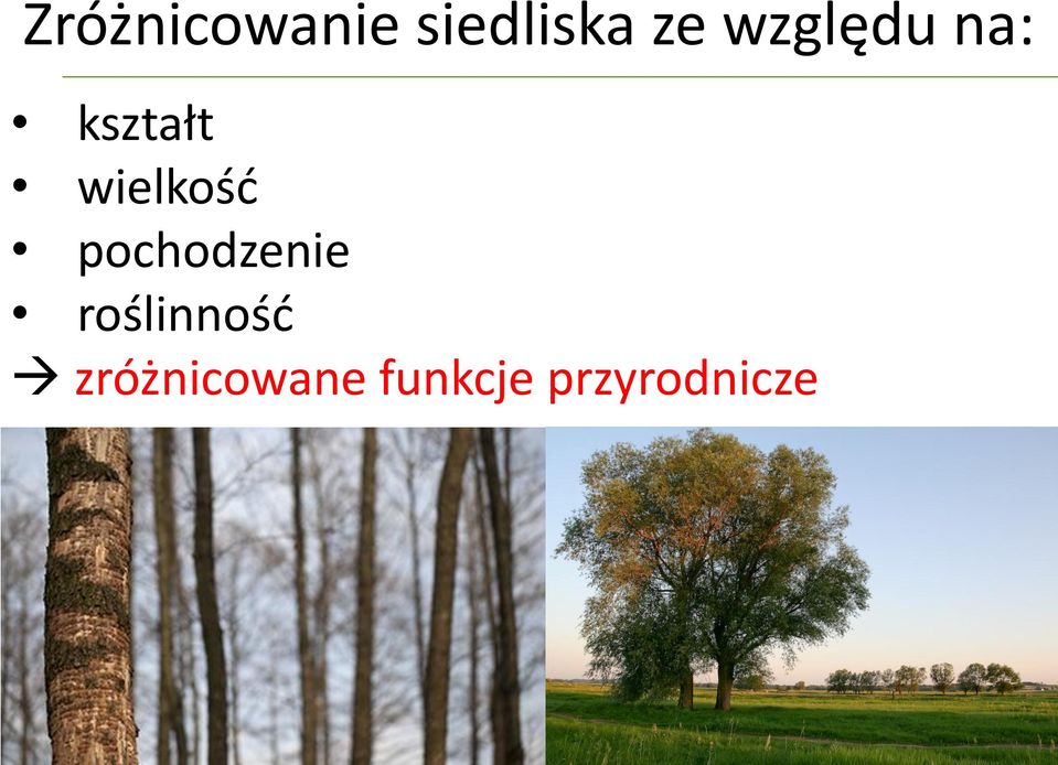 wielkośd pochodzenie