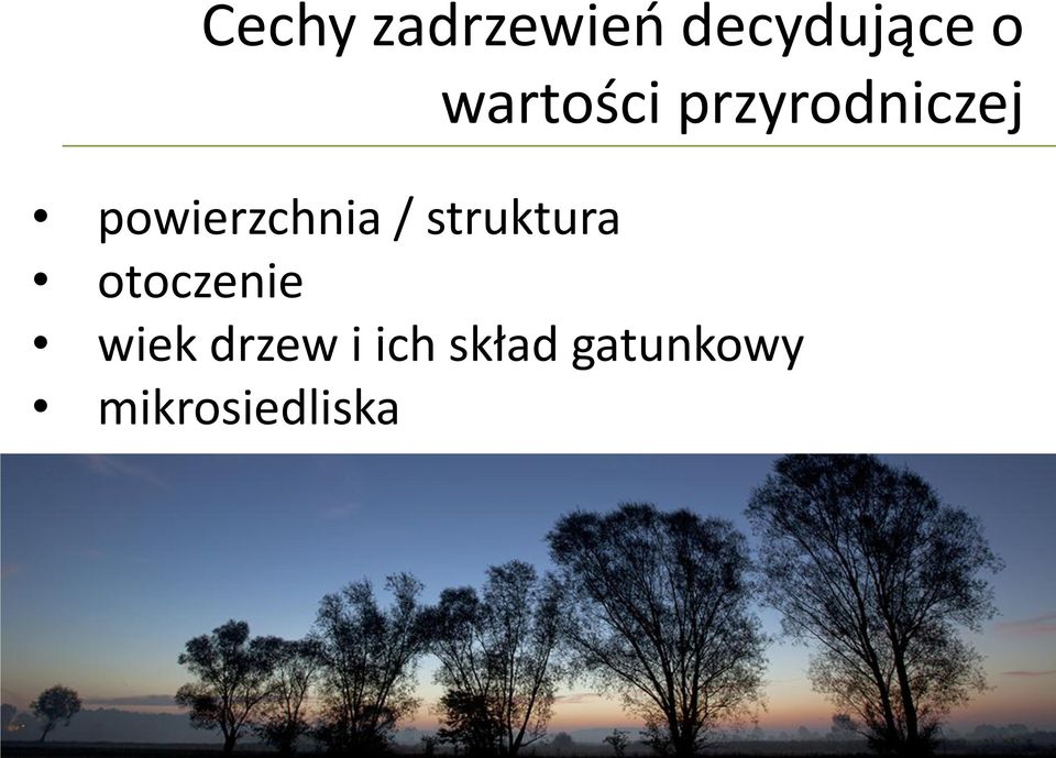 powierzchnia / struktura