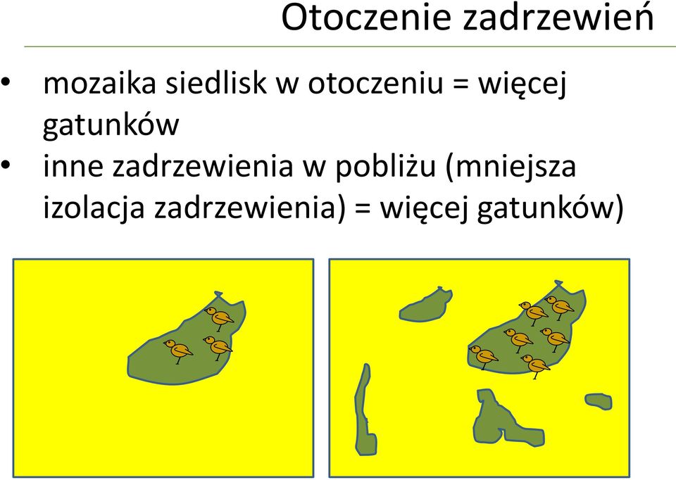 gatunków inne zadrzewienia w pobliżu