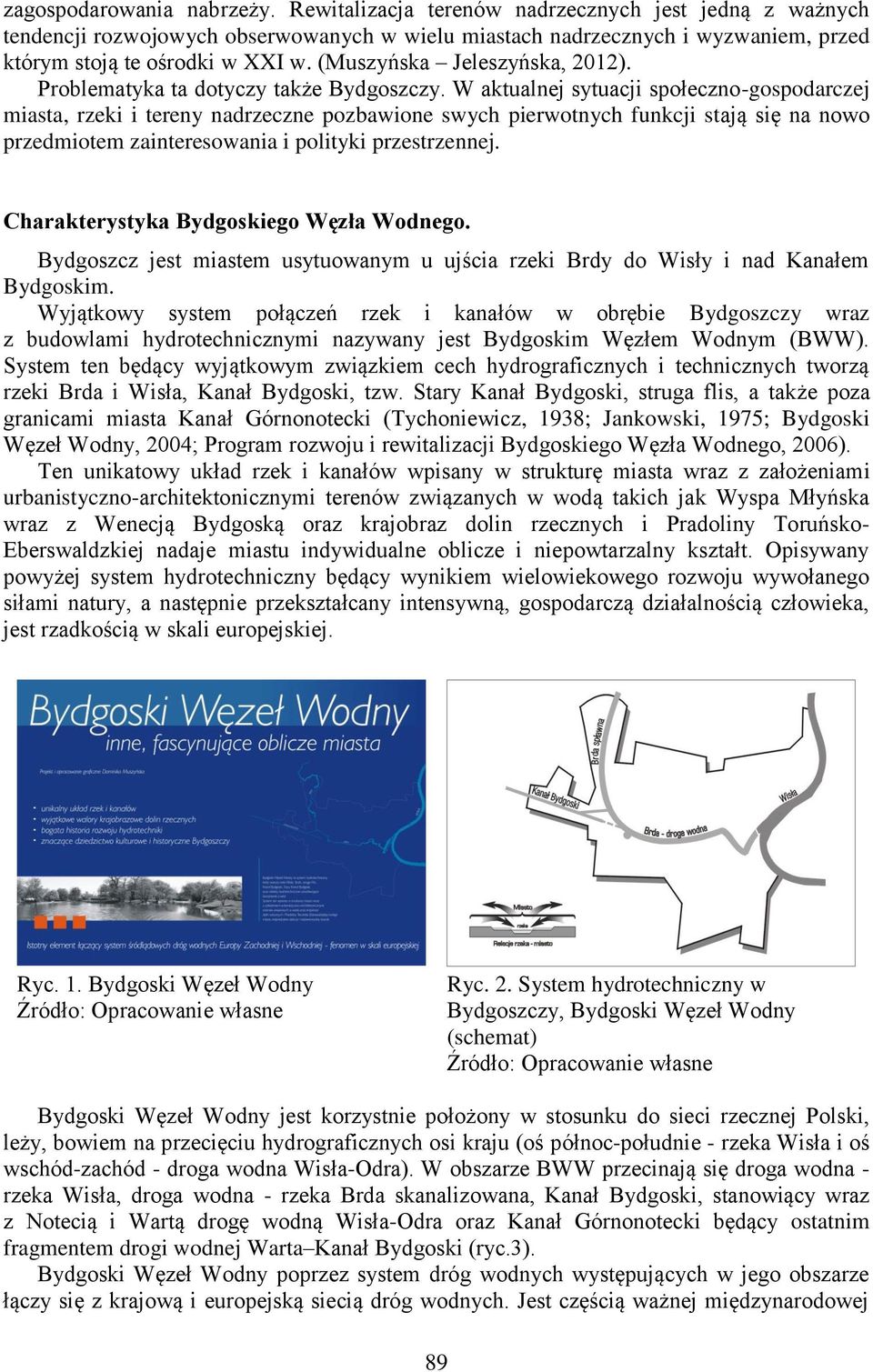 W aktualnej sytuacji społeczno-gospodarczej miasta, rzeki i tereny nadrzeczne pozbawione swych pierwotnych funkcji stają się na nowo przedmiotem zainteresowania i polityki przestrzennej.