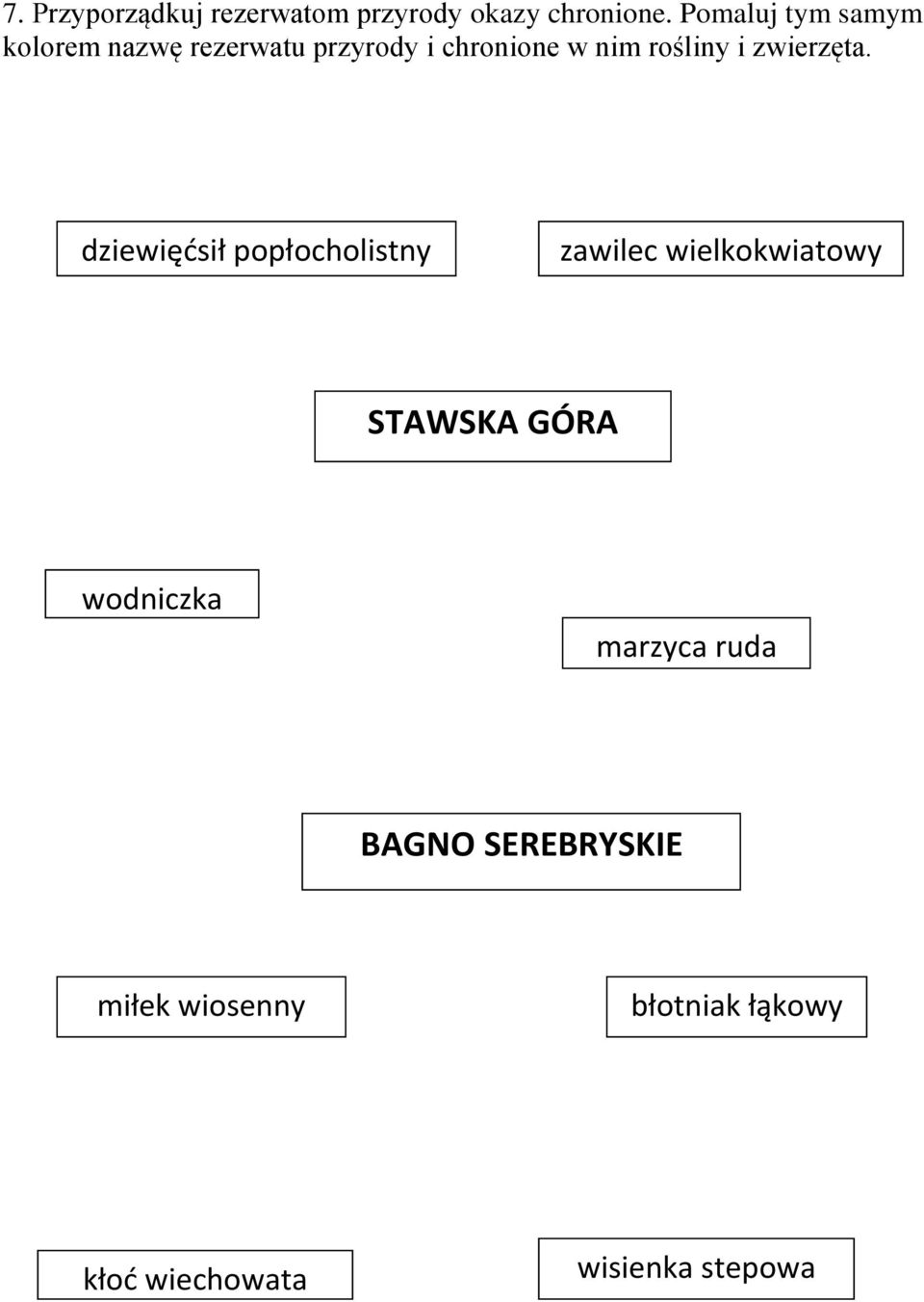 i zwierzęta.