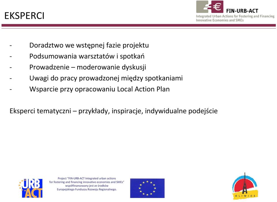 spotkaniami - Wsparcie przy opracowaniu Local Action Plan Eksperci tematyczni