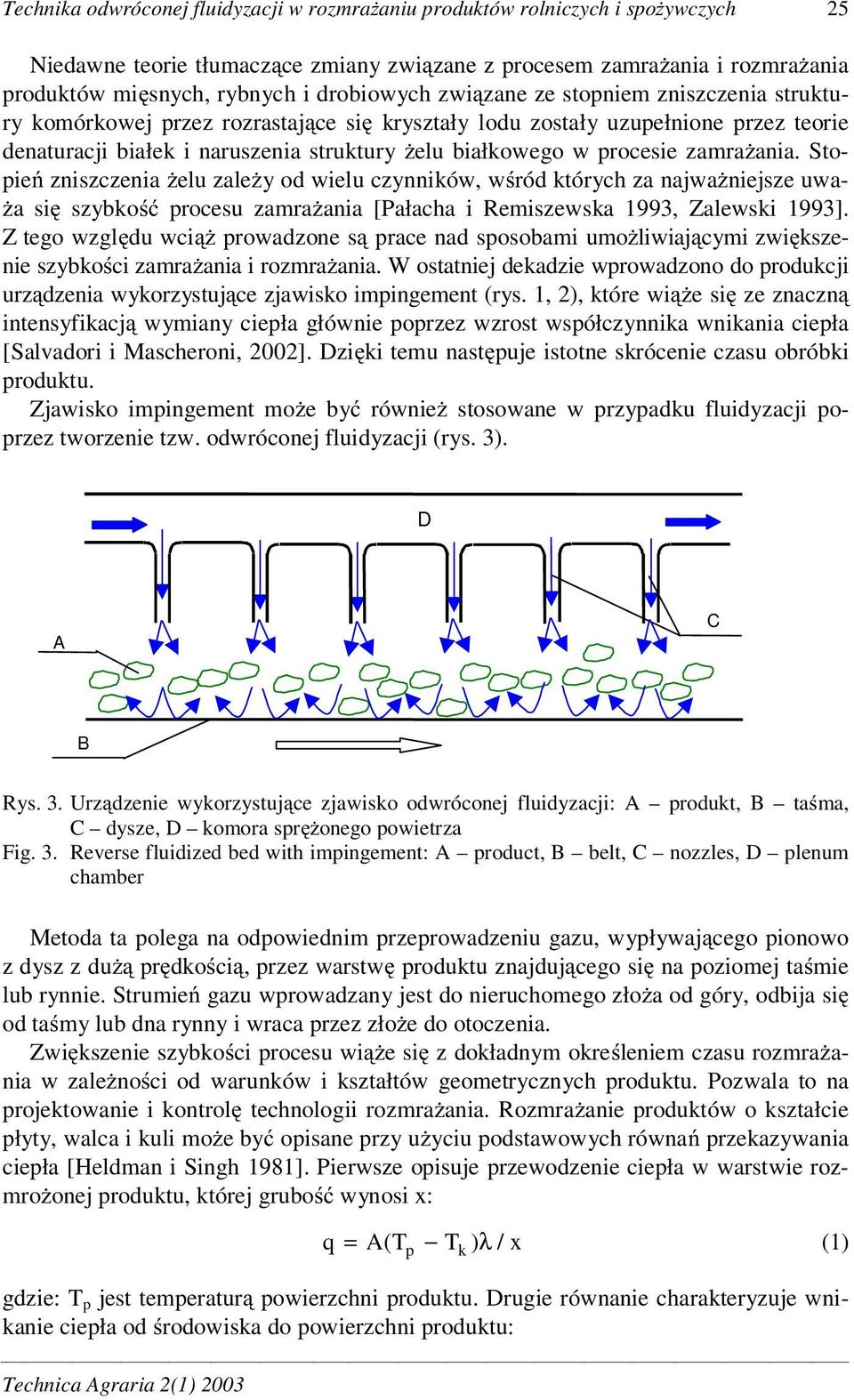 procesie zamra ania. Stopie zniszczenia elu zale y od wielu czynników, w ród których za najwa niejsze uwa- a si szybko procesu zamra ania [Pałacha i Remiszewska 1993, Zalewski 1993].