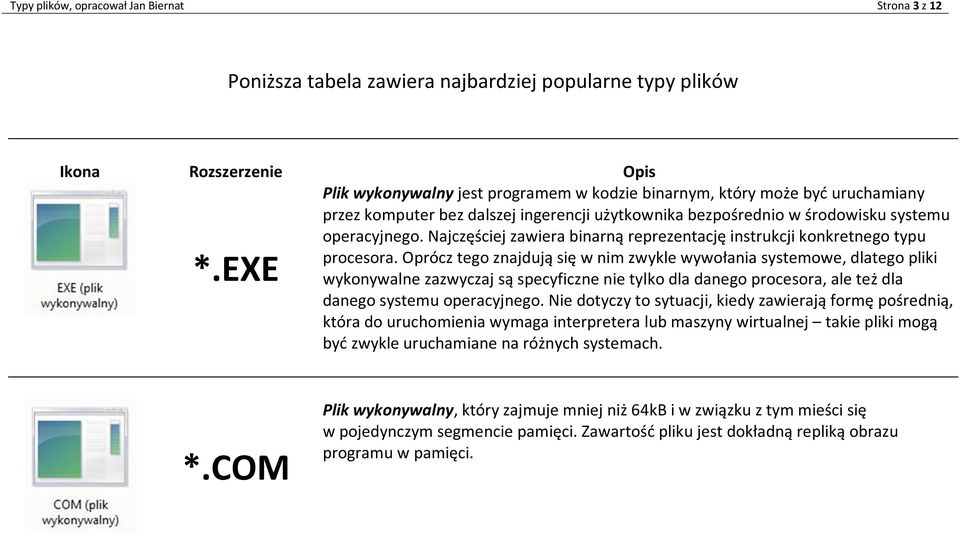 Oprócz tego znajdują się w nim zwykle wywołania systemowe, dlatego pliki *.EXE wykonywalne zazwyczaj są specyficzne nie tylko dla danego procesora, ale też dla danego systemu operacyjnego.