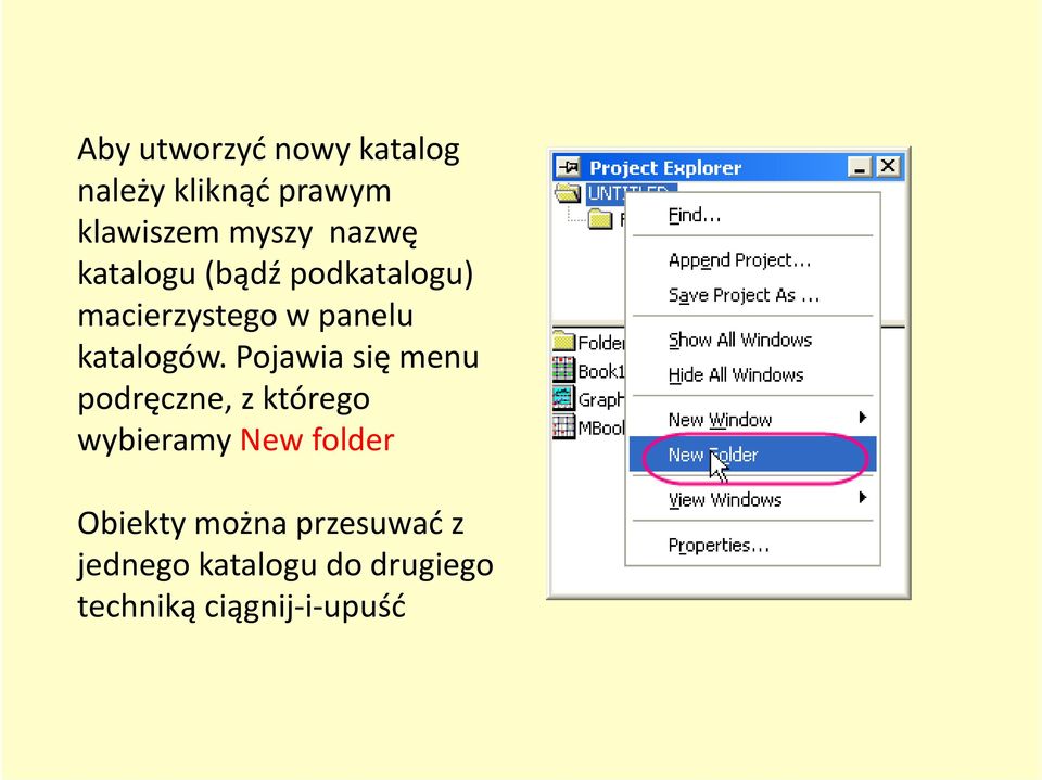 Pojawia się menu podręczne, z którego wybieramy New folder Obiekty można