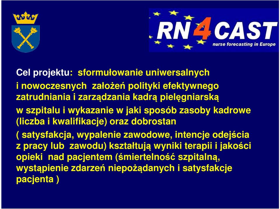 oraz dobrostan ( satysfakcja, wypalenie zawodowe, intencje odejścia z pracy lub zawodu) kształtują wyniki