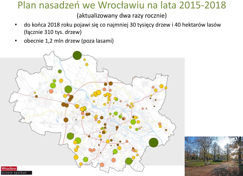 pojawi się co najmniej 30 tysięcy drzew i 40 hektarów