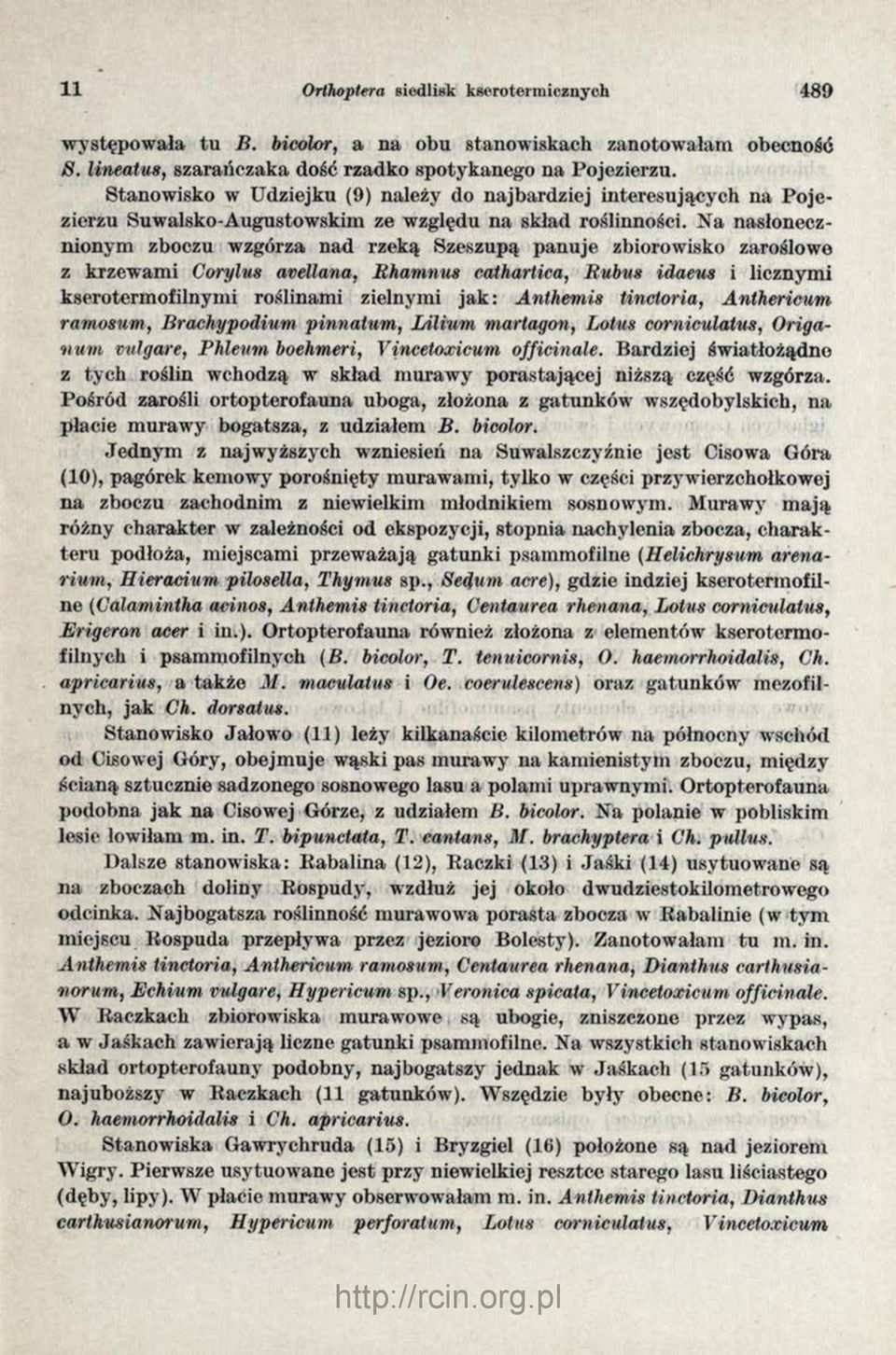 Na nasłonecznionym zboczu wzgórza nad rzeką Szeszupą panuje zbiorowisko zaroślowe z krzewami Corylus avellana, Rhamnus cathartica, Rubus idaeus i licznymi kserotermofilnymi roślinami zielnymi jak: