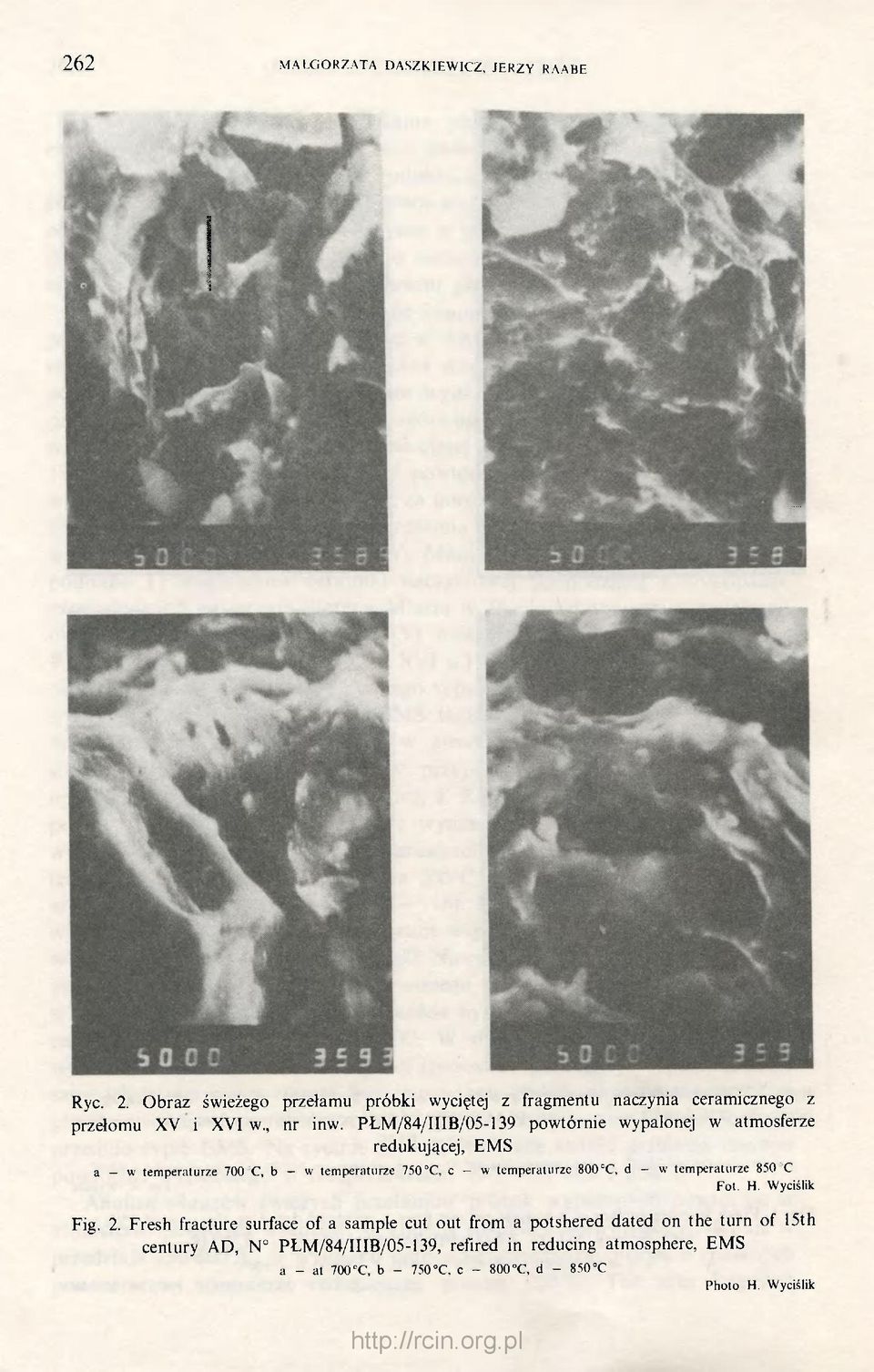 PŁM/84/IIIB/05-139 powtórnie wypalonej w atmosferze redukującej, EMS a - w temperaturze 700'C, b - w temperaturze 750 C, c - w temperaturze