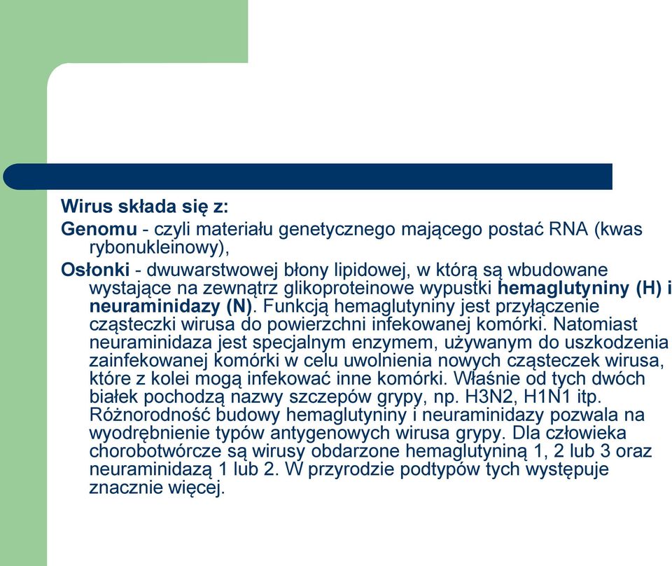Natomiast neuraminidaza jest specjalnym enzymem, używanym do uszkodzenia zainfekowanej komórki w celu uwolnienia nowych cząsteczek wirusa, które z kolei mogą infekować inne komórki.