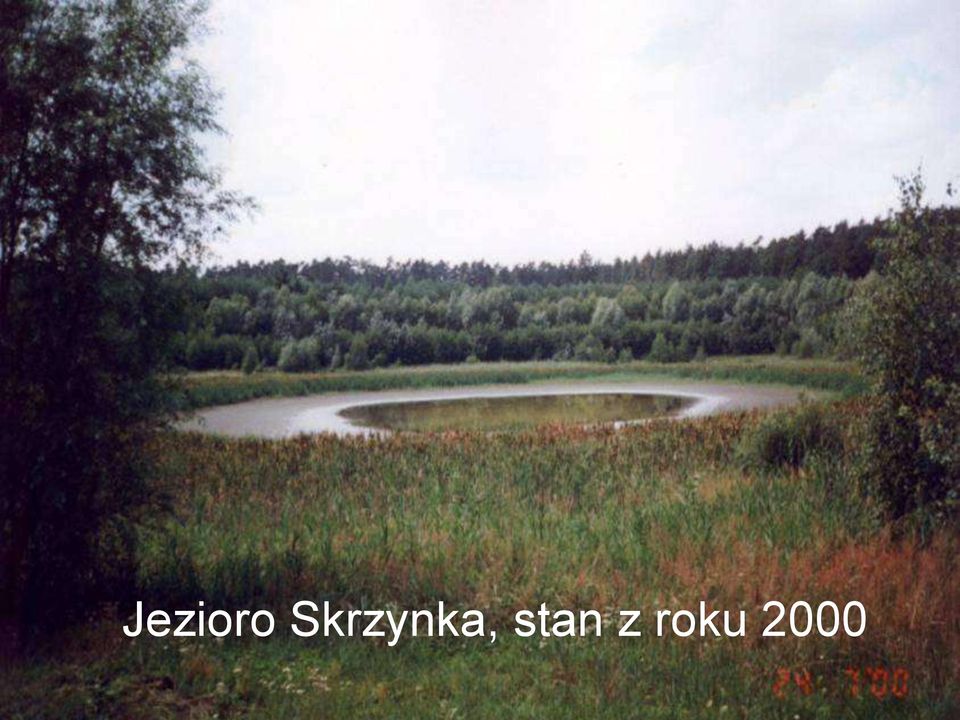 stan z