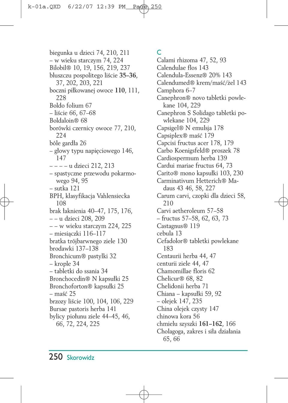 K 01aqxd 62207 1239 Pm Page 249 Skorowidz Pdf