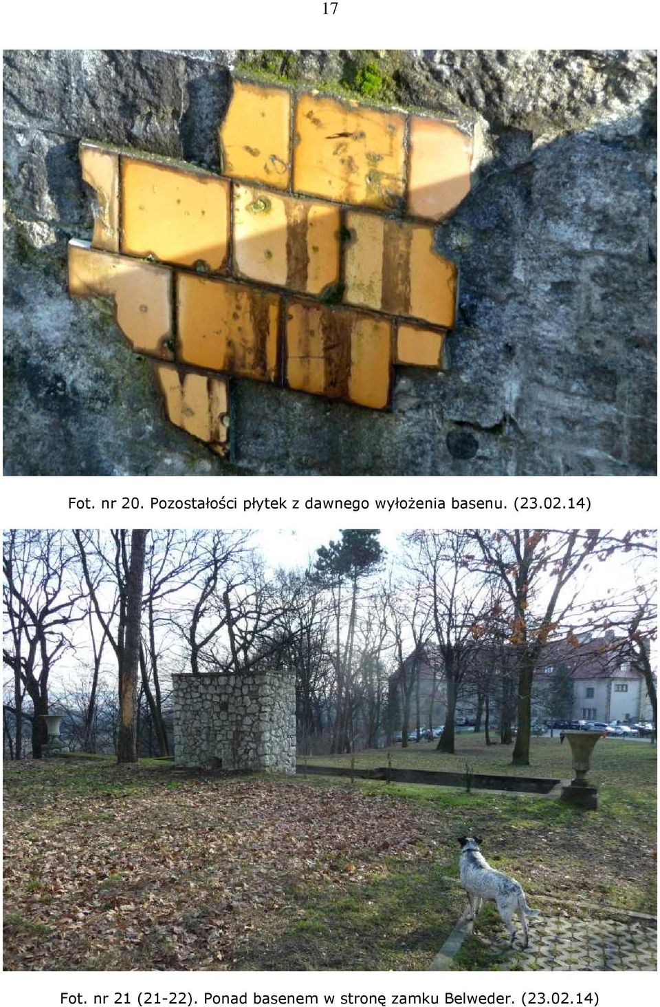 wyłożenia basenu. (23.02.14) Fot.