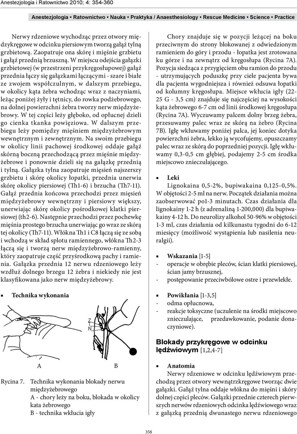 wchodząc wraz z naczyniami, leżąc poniżej żyły i tętnicy, do rowka podżebrowego, na dolnej powierzchni żebra tworzy nerw międzyżebrowy.