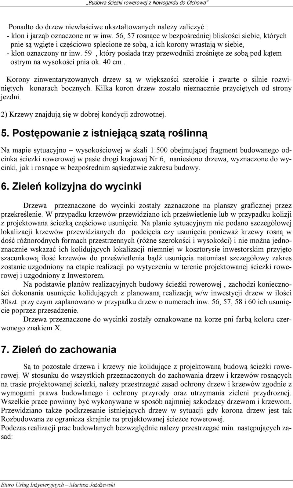 59, który posiada trzy przewodniki zrośnięte ze sobą pod kątem ostrym na wysokości pnia ok. 40 cm.