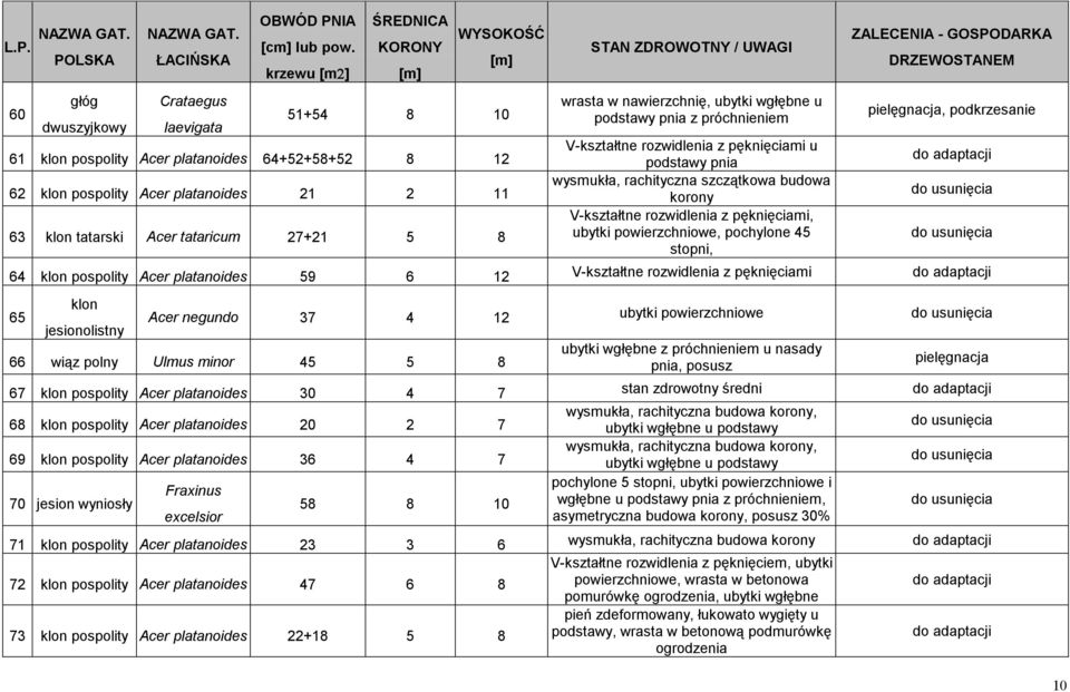 w nawierzchnię, ubytki wgłębne u podstawy pnia z próchnieniem V-kształtne rozwidlenia z pęknięciami u podstawy pnia wysmukła, rachityczna szczątkowa budowa korony V-kształtne rozwidlenia z