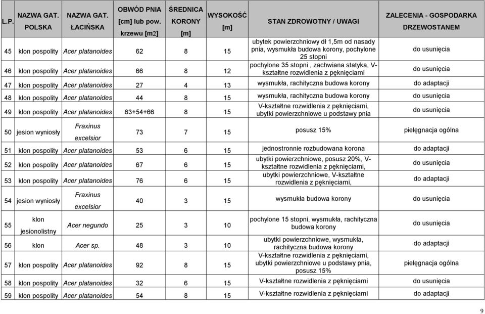 korony, pochylone 25 stopni pochylone 35 stopni, zachwiana statyka, V- kształtne rozwidlenia z pęknięciami ZALECENIA - GOSPODARKA DRZEWOSTANEM 47 pospolity Acer platanoides 27 4 13 wysmukła,