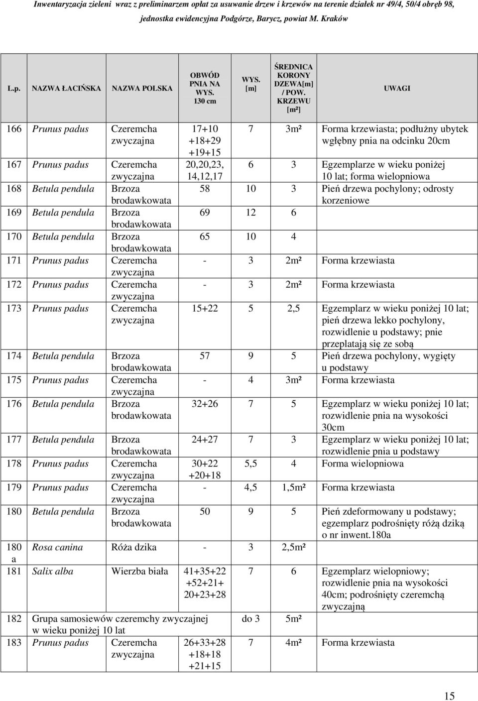 Czeremcha 173 Prunus padus Czeremcha 174 Betula pendula Brzoza 175 Prunus padus Czeremcha 176 Betula pendula Brzoza 177 Betula pendula Brzoza 178 Prunus padus Czeremcha 179 Prunus padus Czeremcha 180