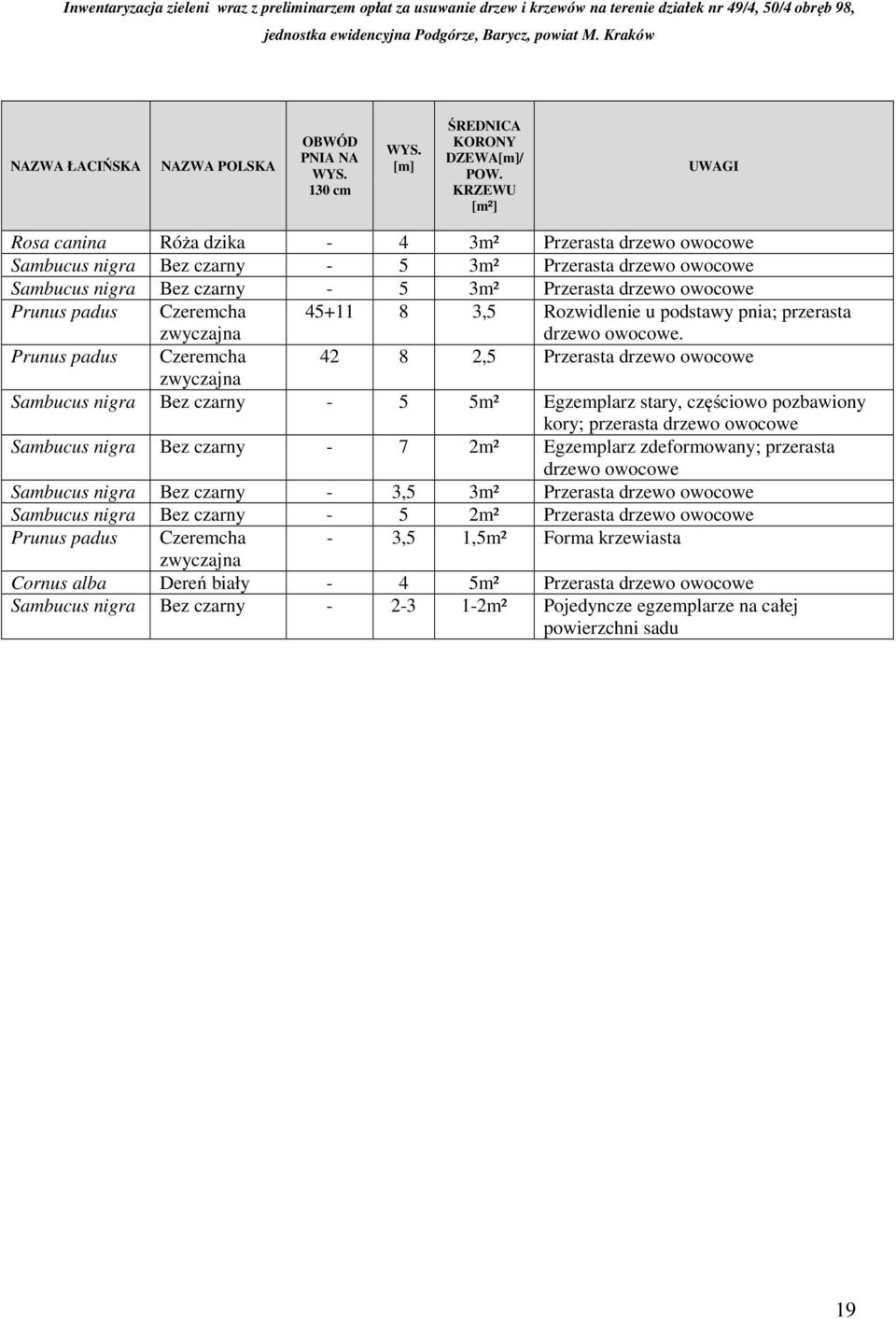 padus Czeremcha 45+11 8 3,5 Rozwidlenie u podstawy pnia; przerasta drzewo owocowe.