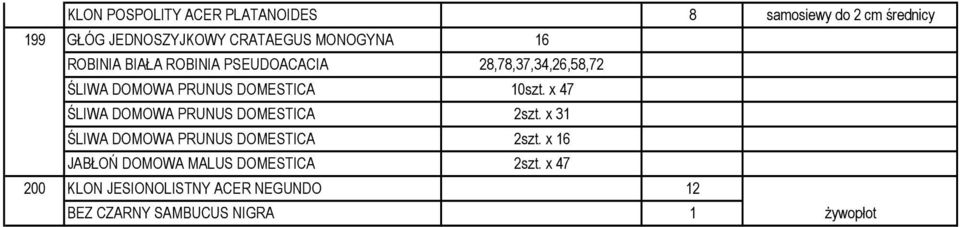 10szt. x 47 ŚLIWA DOMOWA PRUNUS DOMESTICA 2szt. x 31 ŚLIWA DOMOWA PRUNUS DOMESTICA 2szt.