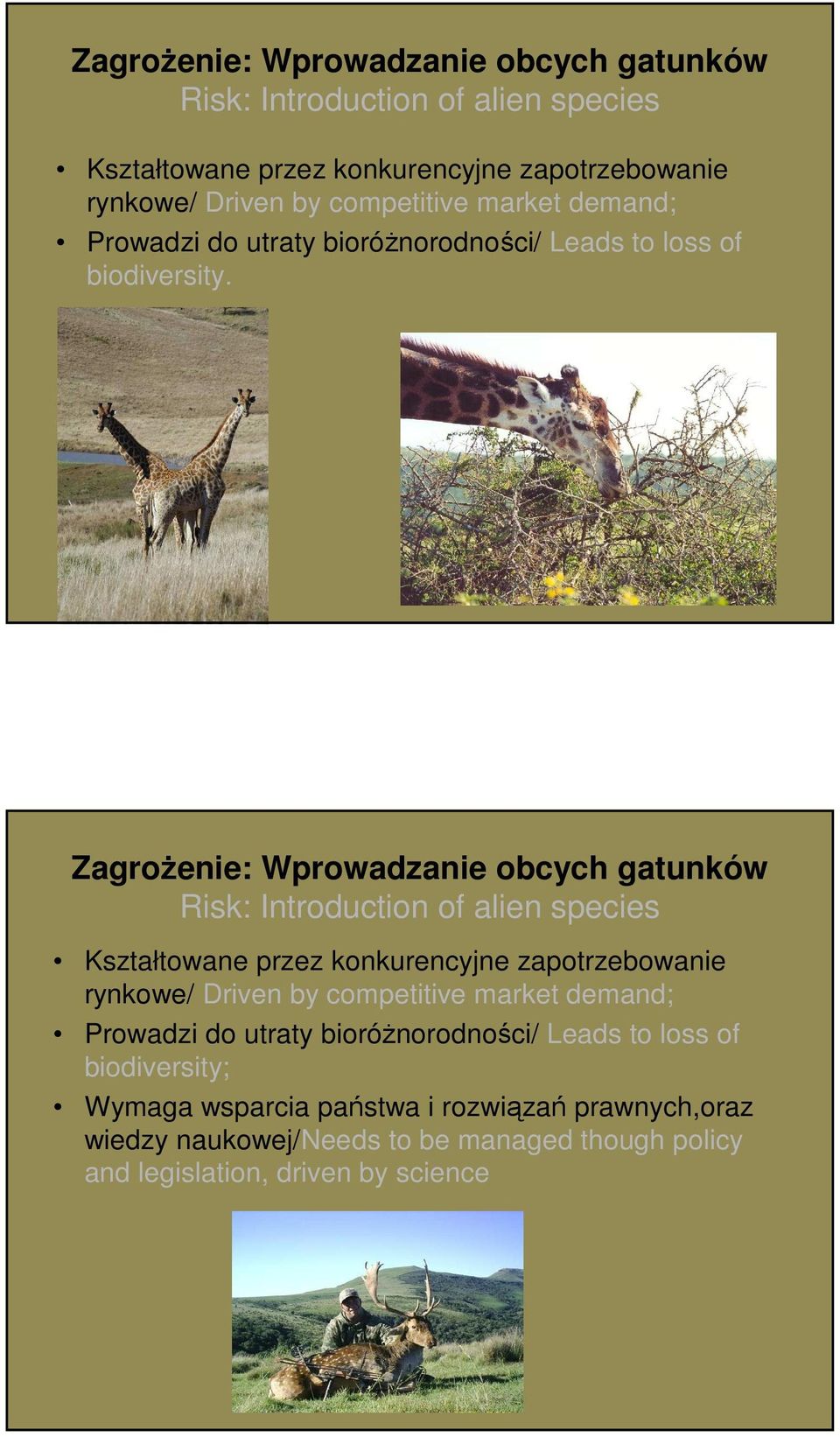 competitive market demand; Prowadzi do utraty bioróżnorodności/ Leads to loss of biodiversity; Wymaga wsparcia państwa i rozwiązań prawnych,oraz wiedzy