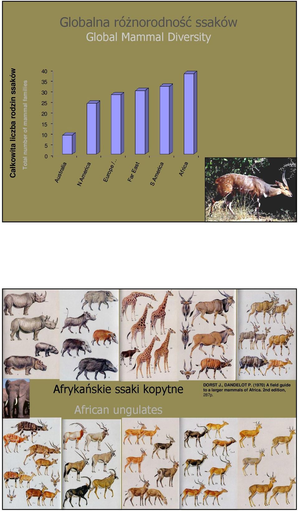 0 Afrykańskie ssaki kopytne African ungulates DORST J., DANDELOT P.