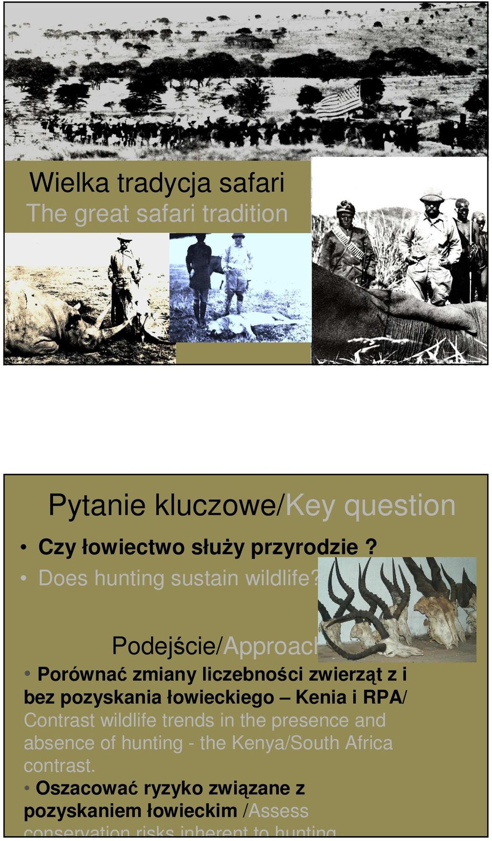 Podejście/Approach Porównać zmiany liczebności zwierząt z i bez pozyskania łowieckiego Kenia i RPA/ Contrast