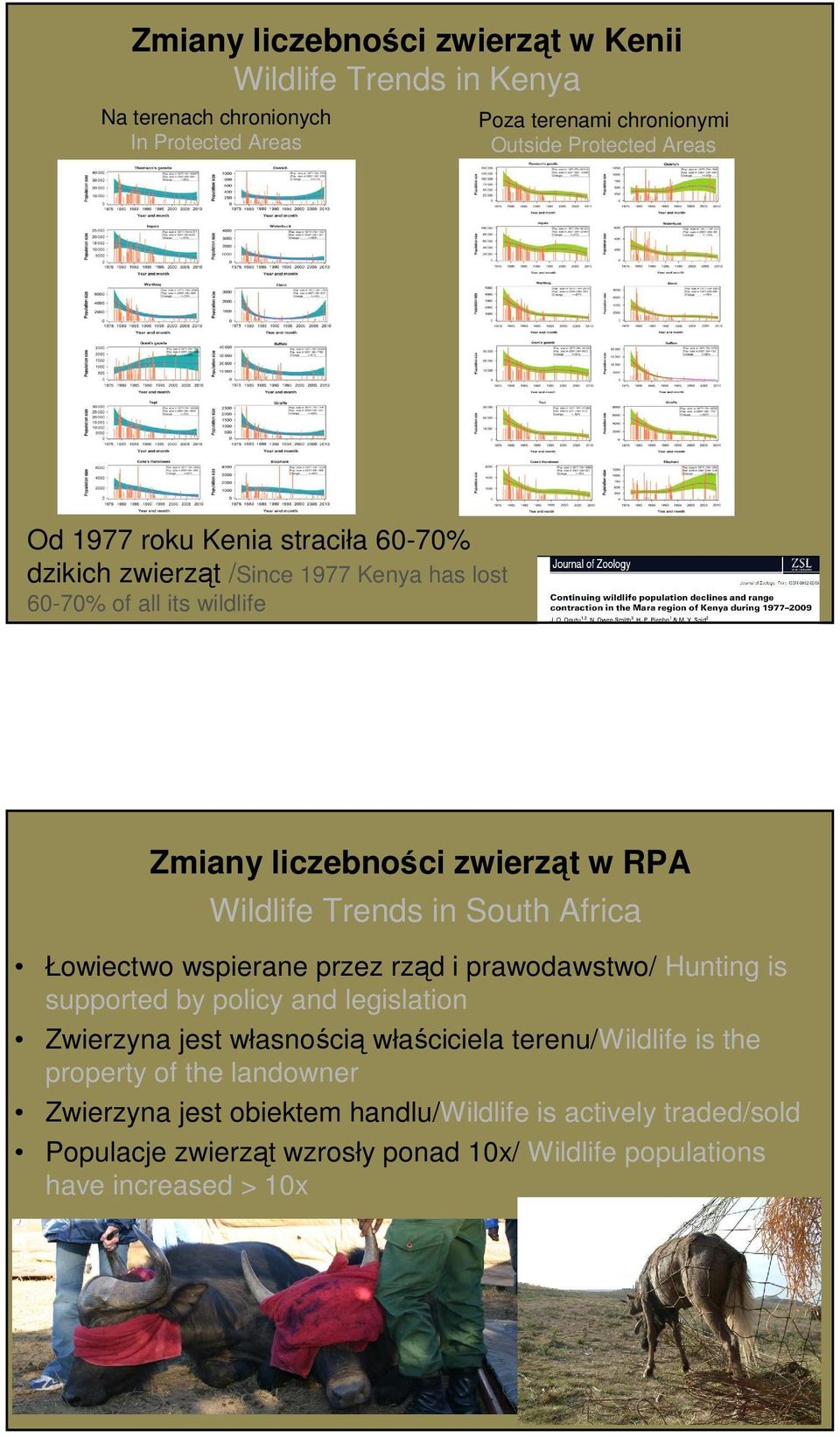 Africa Łowiectwo wspierane przez rząd i prawodawstwo/ Hunting is supported by policy and legislation Zwierzyna jest własnością właściciela terenu/wildlife is the