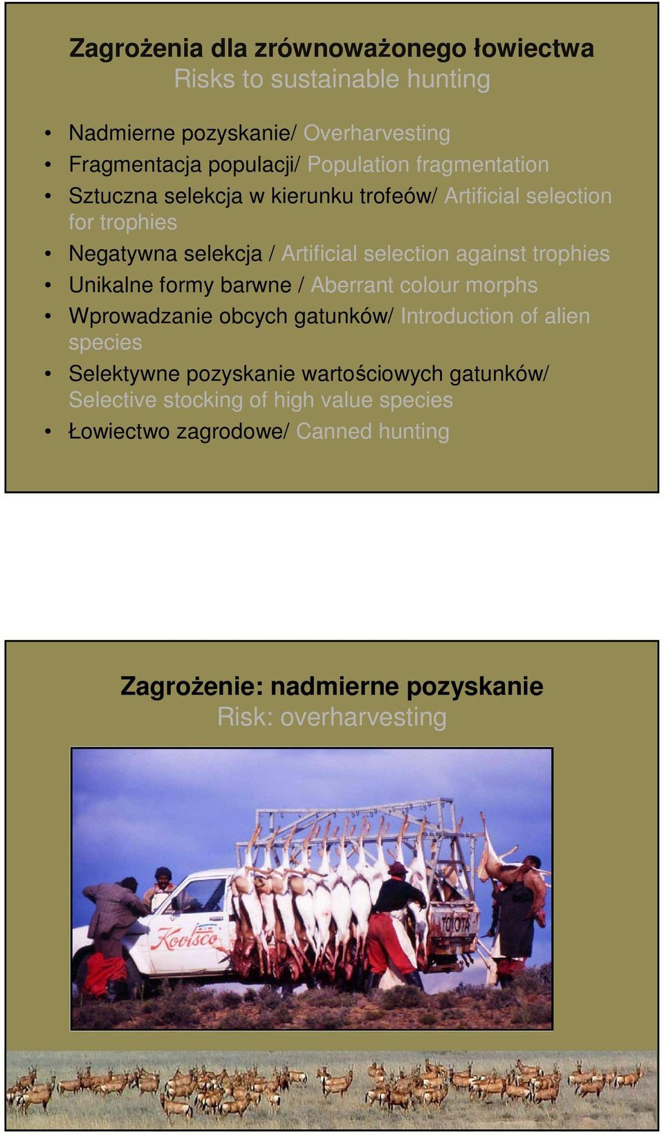 trophies Unikalne formy barwne / Aberrant colour morphs Wprowadzanie obcych gatunków/ Introduction of alien species Selektywne pozyskanie