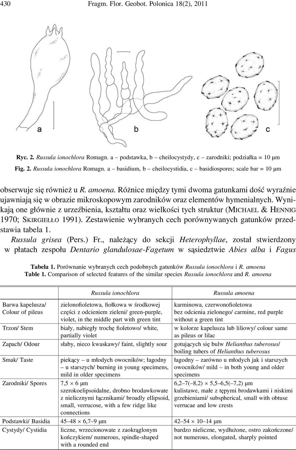 Wynikają one głównie z urzeźbienia, kształtu oraz wielkości tych struktur (MICHAEL & HENNIG 1970; SKIRGIEŁŁO 1991). Zestawienie wybranych cech porównywanych gatunków przedstawia tabela 1.