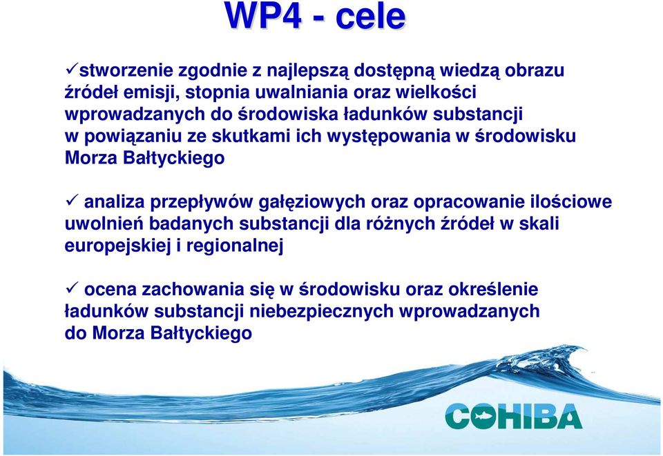 analiza przepływów gałęziowych oraz opracowanie ilościowe uwolnień badanych substancji dla różnych źródeł w skali