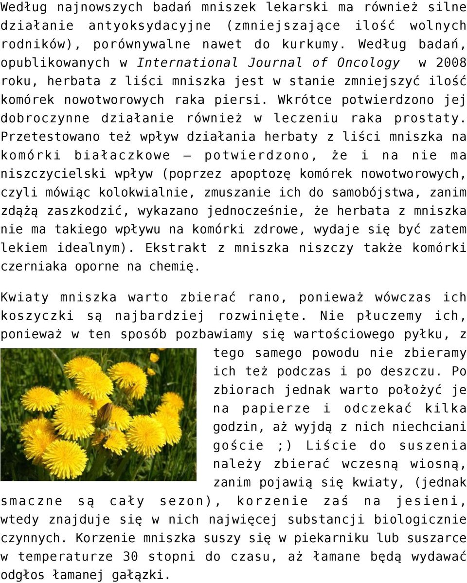 Wkrótce potwierdzono jej dobroczynne działanie również w leczeniu raka prostaty.