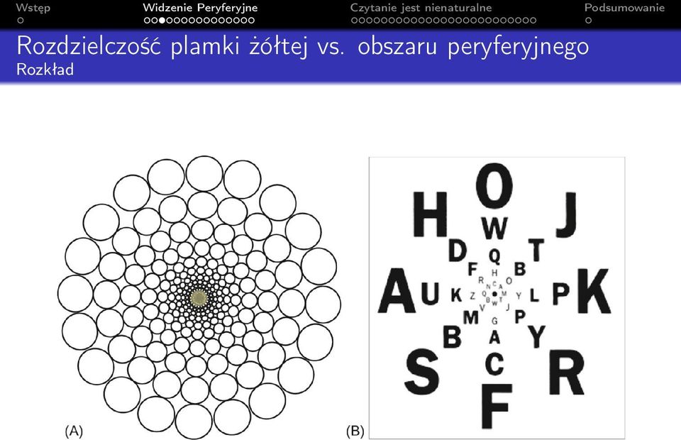 vs. obszaru