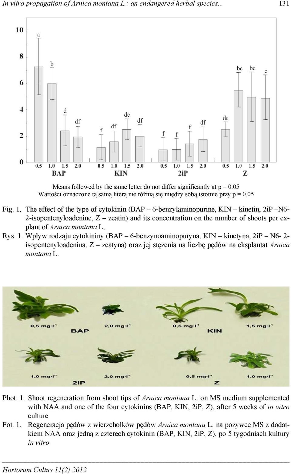 The effect of the type of cytokinin (BAP 6-benzylaminopurine, KIN kinetin, 2iP N6-2-isopentenyloadenine, Z zeatin) and its concentration on the number of shoots per explant of Arnica montana L. Rys.