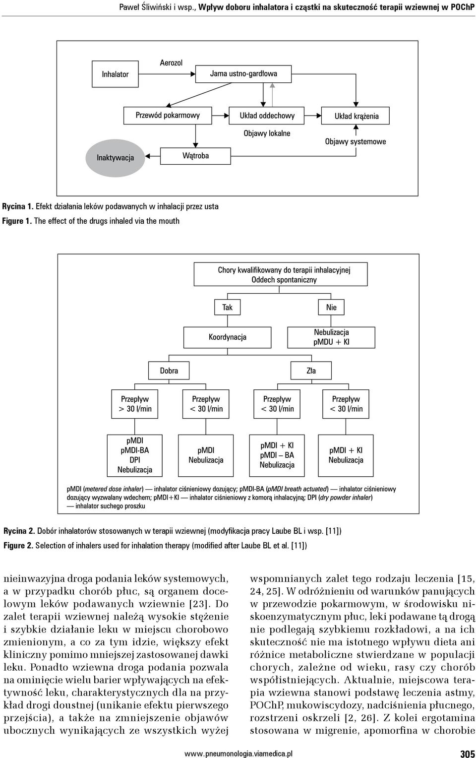 Selection of inhalers used for inhalation therapy (modified after Laube BL et al.