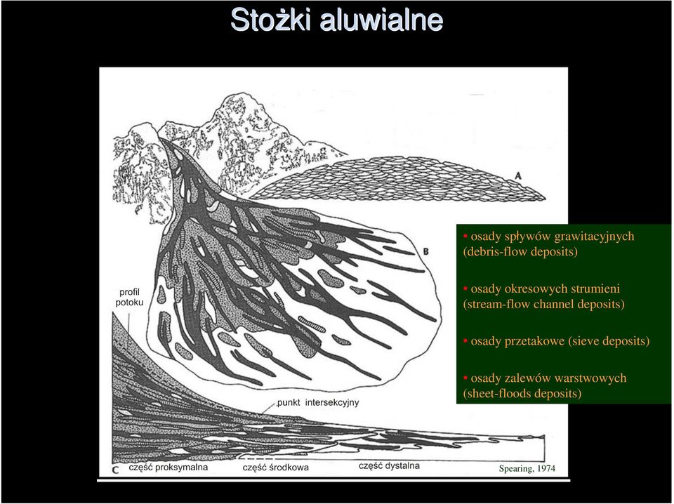 (stream-flow channel deposits) osady przetakowe (sieve