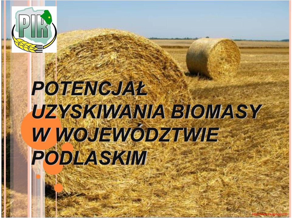 W WOJEWÓDZTWIE