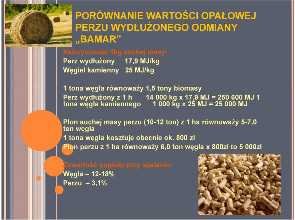 kamiennego 1 000 kg x 25 MJ = 25 000 MJ Plon suchej masy perzu (10-12 ton) z 1 ha równoważy 5-7,0 ton węgla 1 tona węgla