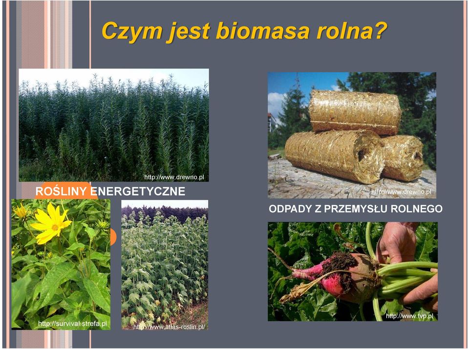 pl ODPADY Z PRZEMYSŁU ROLNEGO http://survival.
